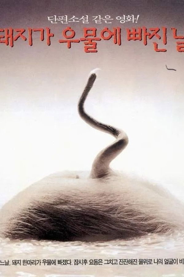 돼지가 우물에 빠진 날